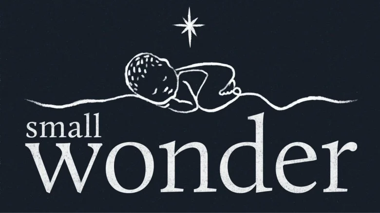 Small Wonder series artwork Small Wonder